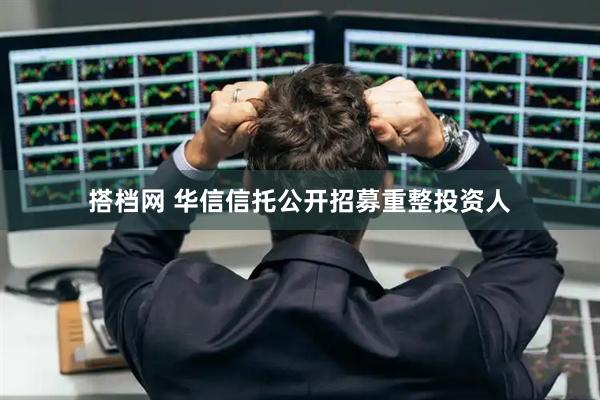搭档网 华信信托公开招募重整投资人