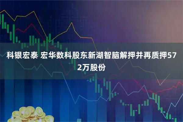 科银宏泰 宏华数科股东新湖智脑解押并再质押572万股份